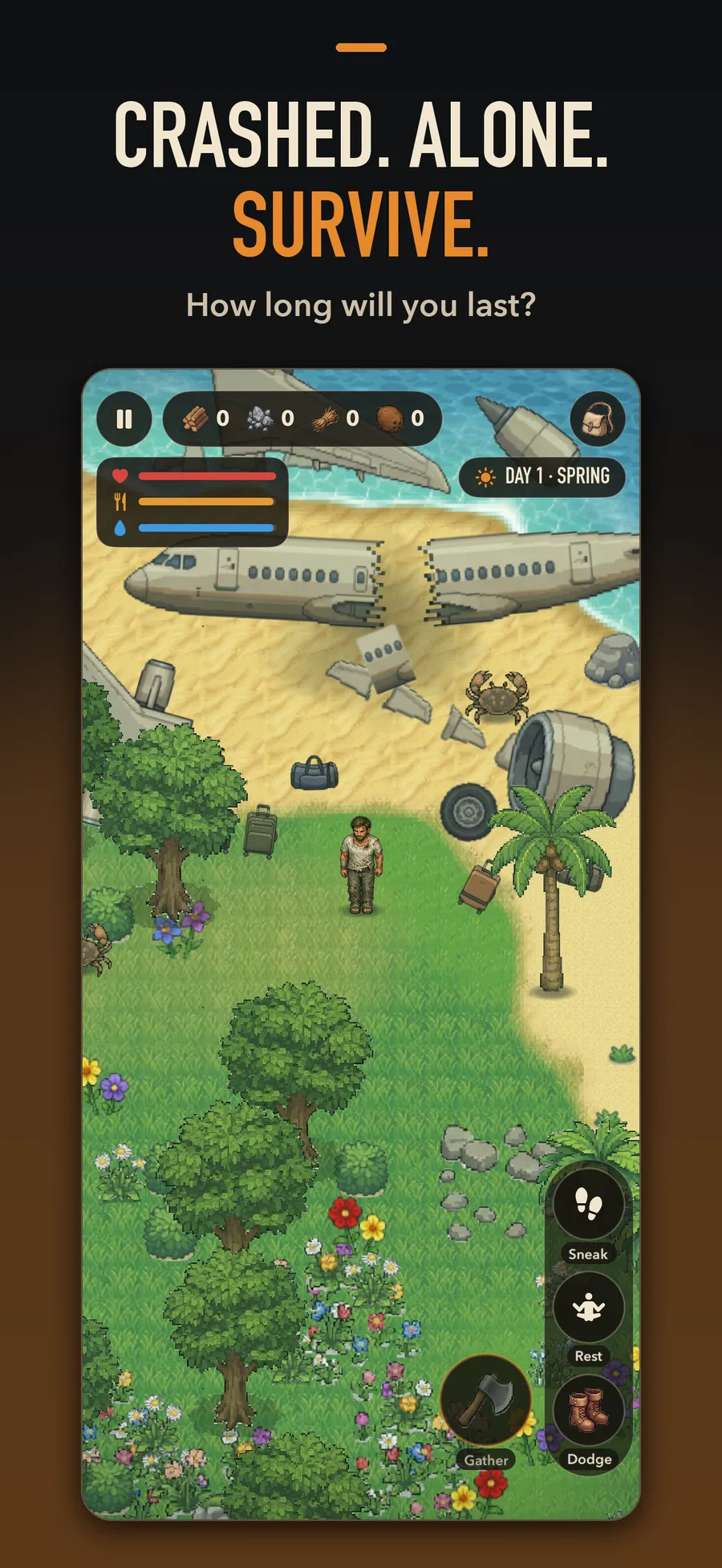 Castout: the survivor stands on the beach next to the crashed plane. Caption: Crashed. Alone. Survive.